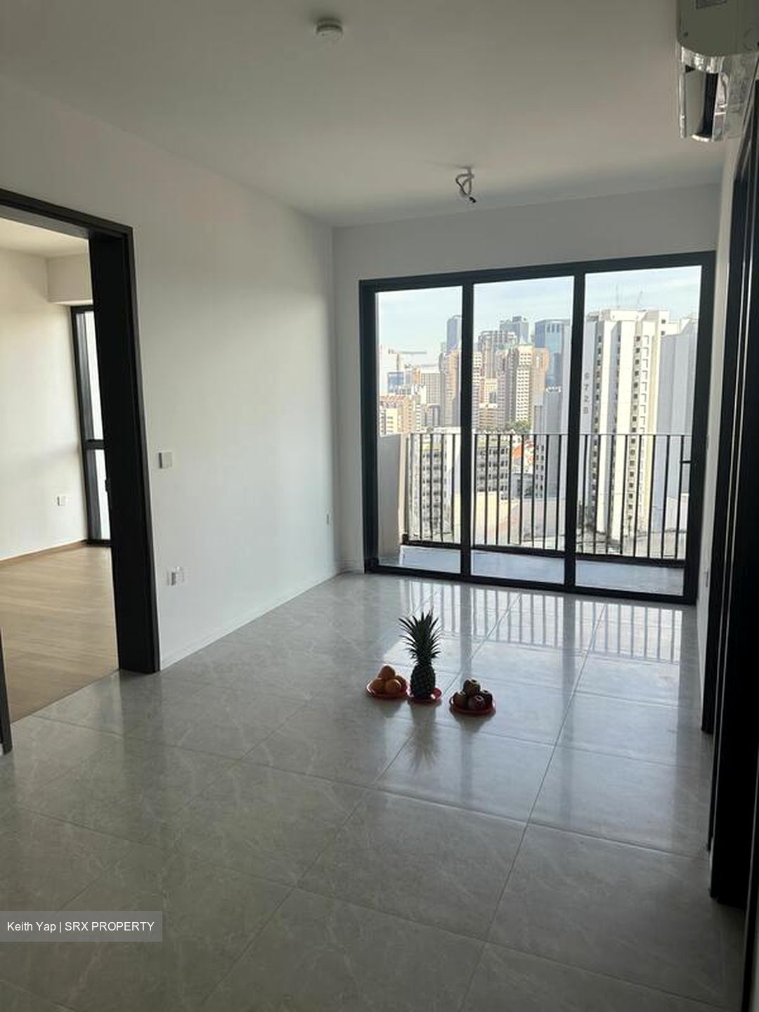 Piccadilly Grand (D8), Apartment #497632271
